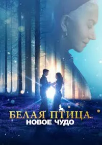Белая птица: Новое чудо (фильм, 2023) смотреть онлайн на Лордфильм